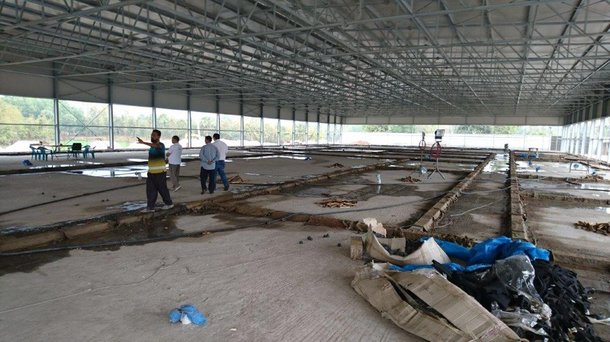 news layers Bovans Bangladesh15.jpg