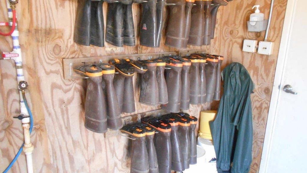 Biosecurity boot rack