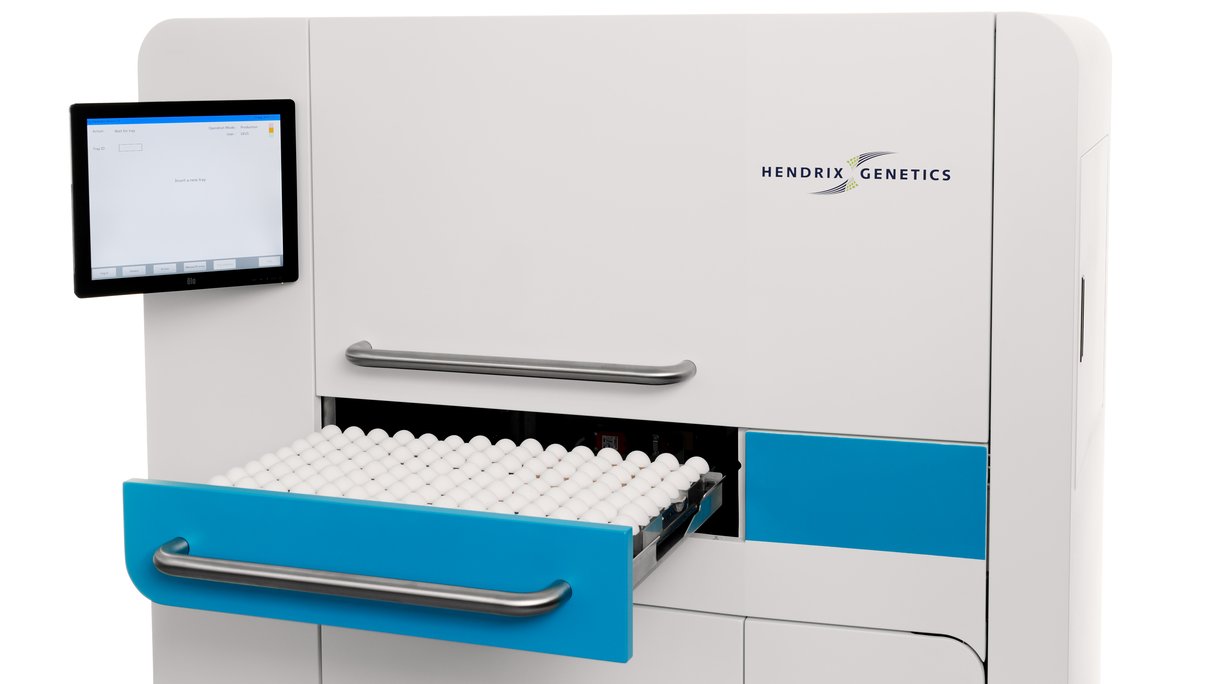 eggxaminator