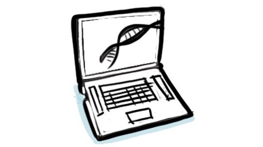 Hypor drawing laptop genetics
