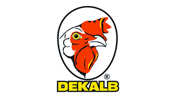 Dekalb logo layers