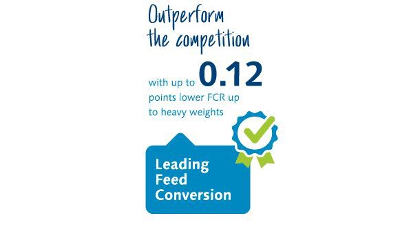 Feed conversion 2