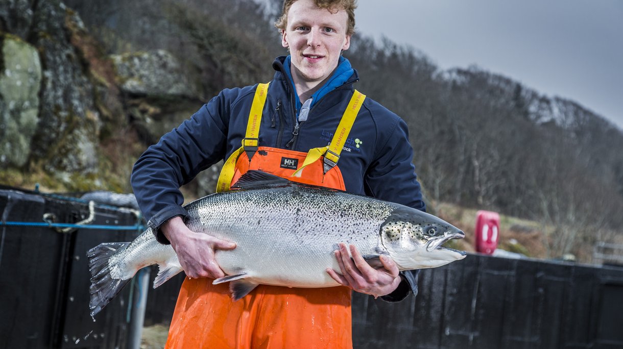 HR salmon (21).jpg