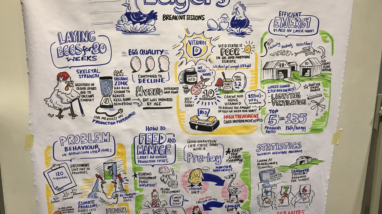 nordic conference drawing 2