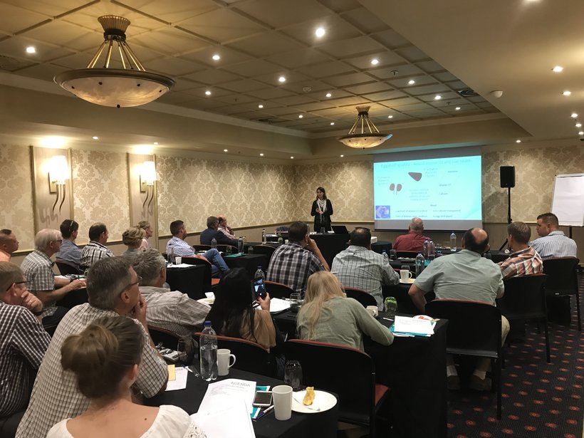 Dekalb in south africa1