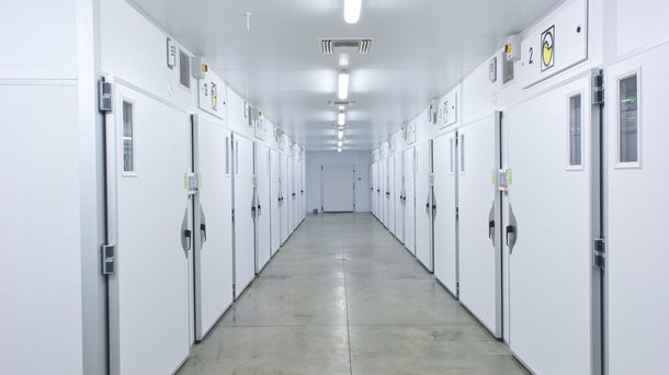 hatchery J&H