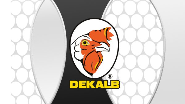 Joice-and-Hill-Dekalb-Product-Graphic.jpg