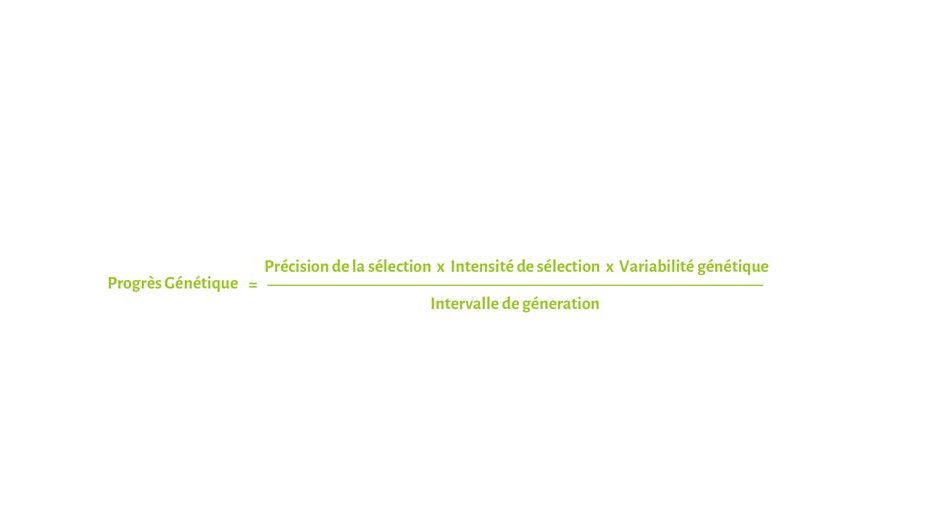 GeneticFormula_FR.jpg