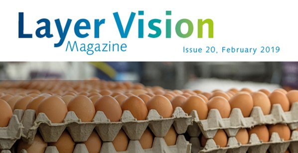 Layer Vision Issue 20 - English