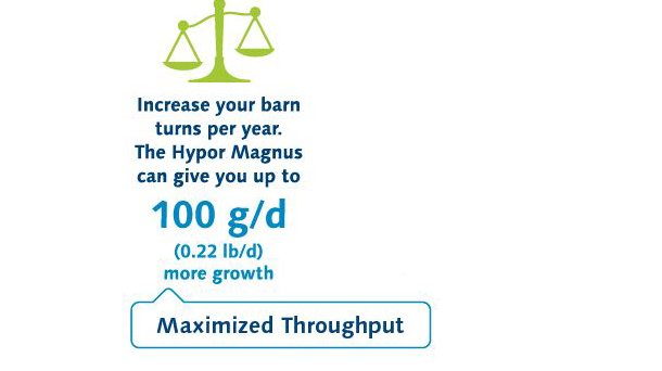 Maximized throughput 4