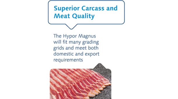 Meat quality