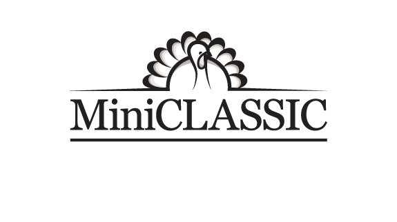 MiniClassic Logo 2