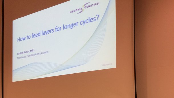 Layers news Norway3.jpg
