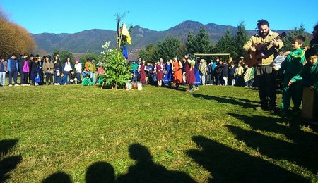 Chile Community 8
