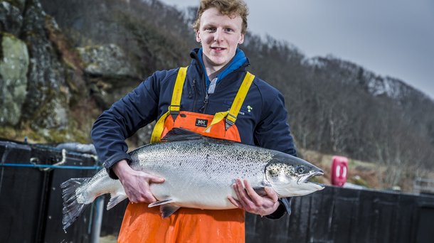 Salmon2.jpg