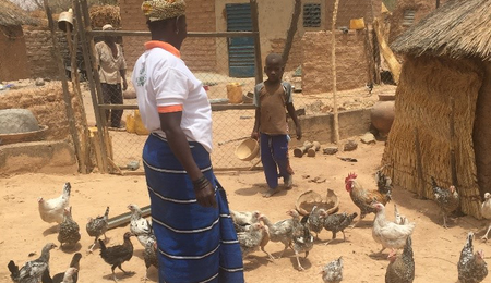 Sustainable Africa 4