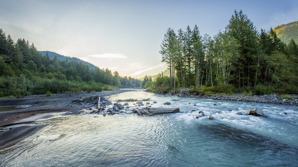 Troutlodge 002 0837.jpg