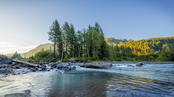 Troutlodge 002 0844.jpg