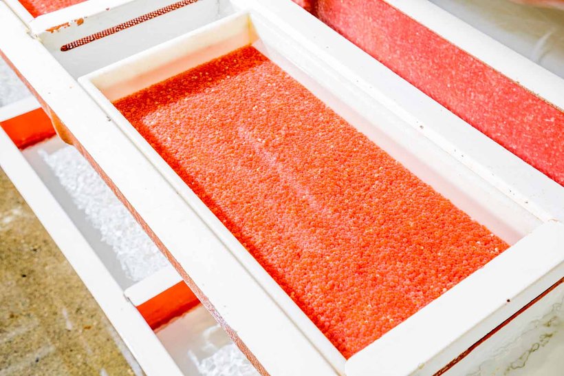 Trout eggs white container