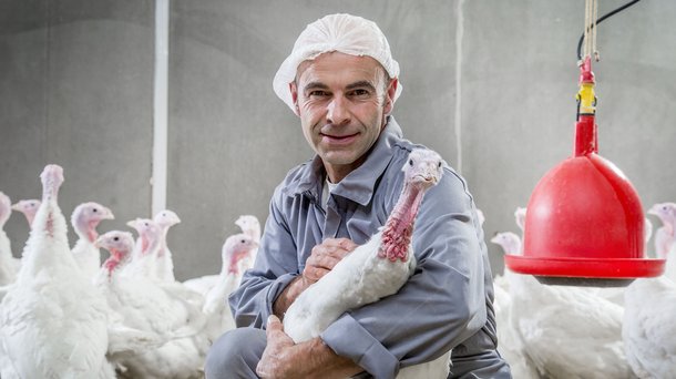 Turkey test farm 0293.jpg