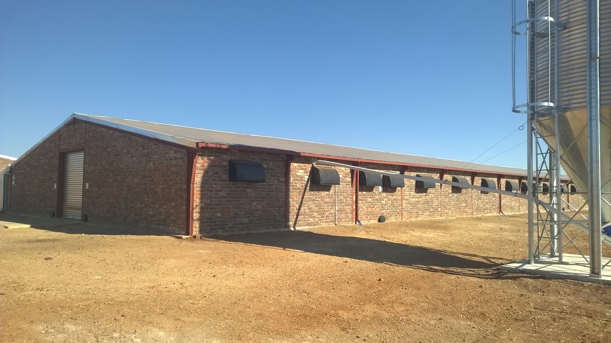 Dekalb in south africa2