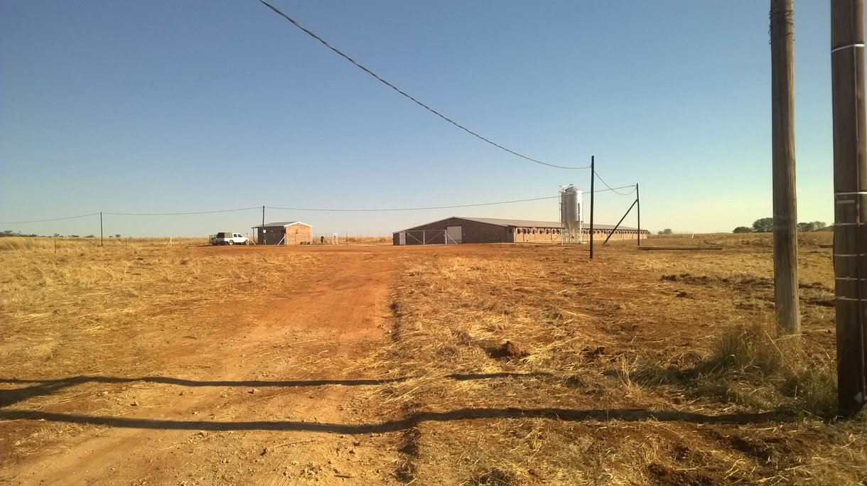 Dekalb in south africa3