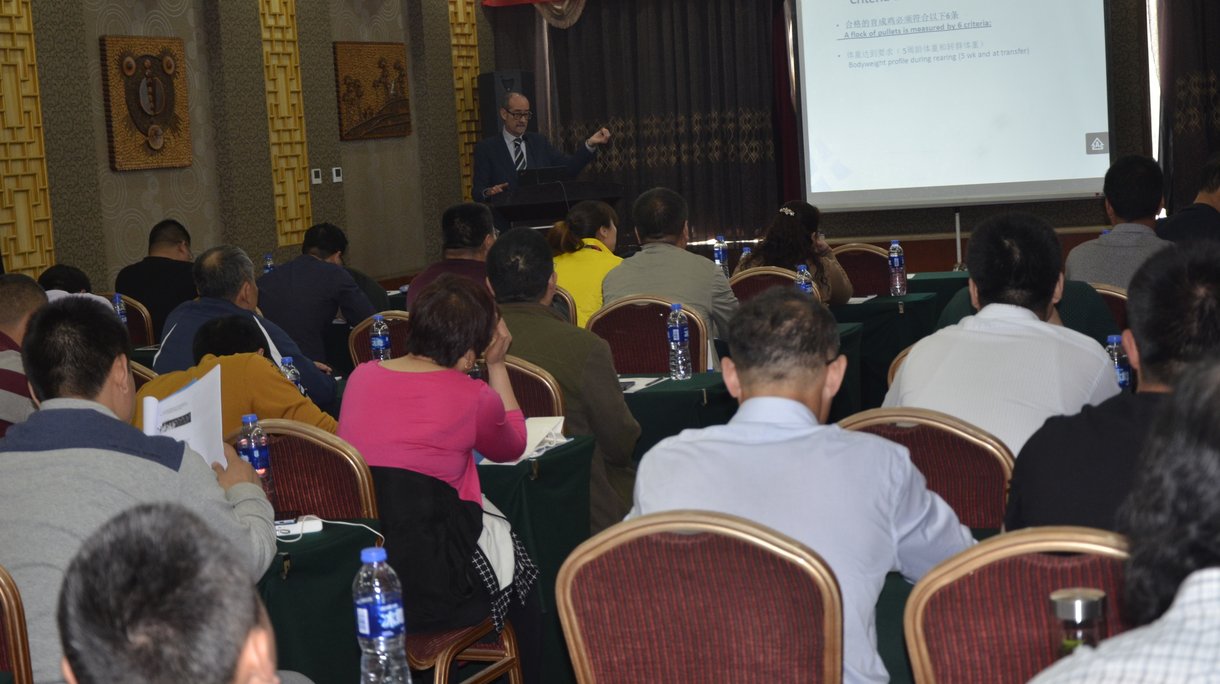 Rafael L technical presentation