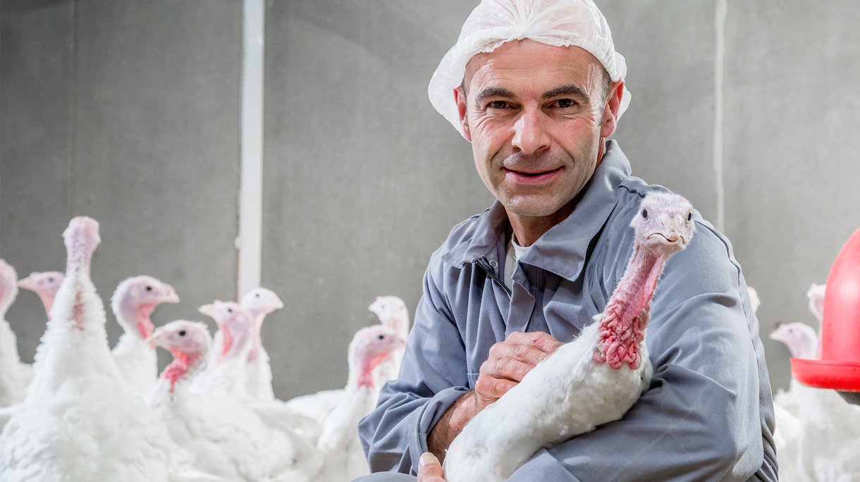 Animal welfare header