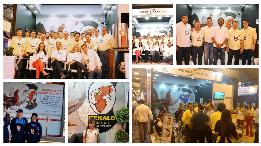 dekalb bastos events