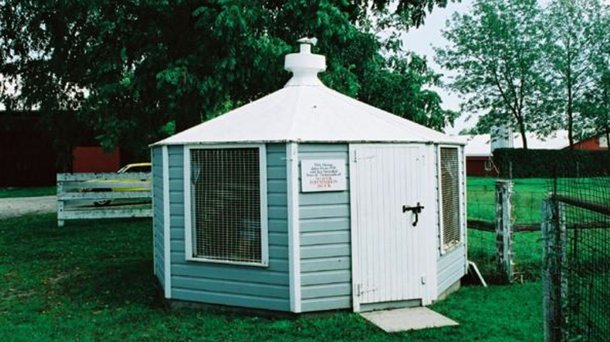 breeding house farm layers shaver building