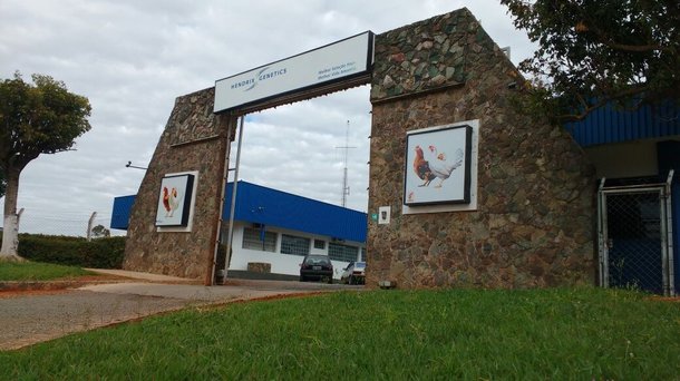 Dekalb Office Brazil