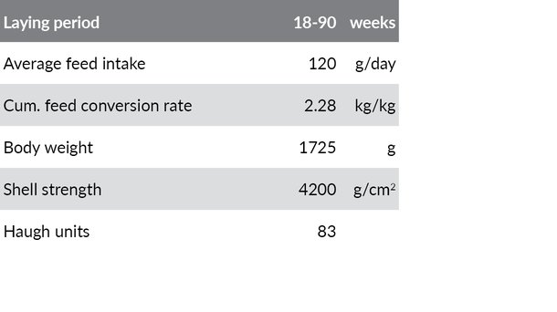 dw FR standards 2 NS.jpg