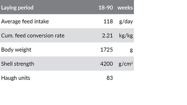 dw aviary standards 2 NS.jpg