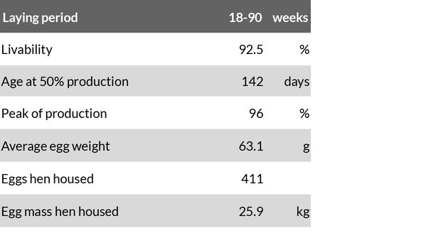 dekalb white cs standards alternative 1a layers