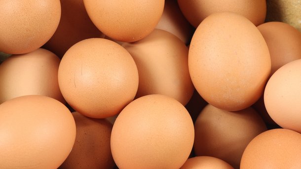 layers brown eggs