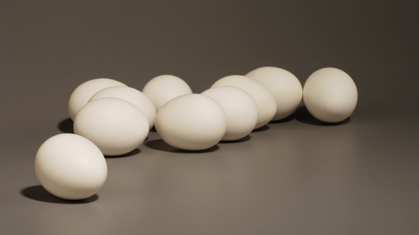 eggs white layers