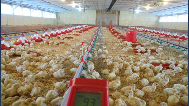 Desirable temp over feed and water