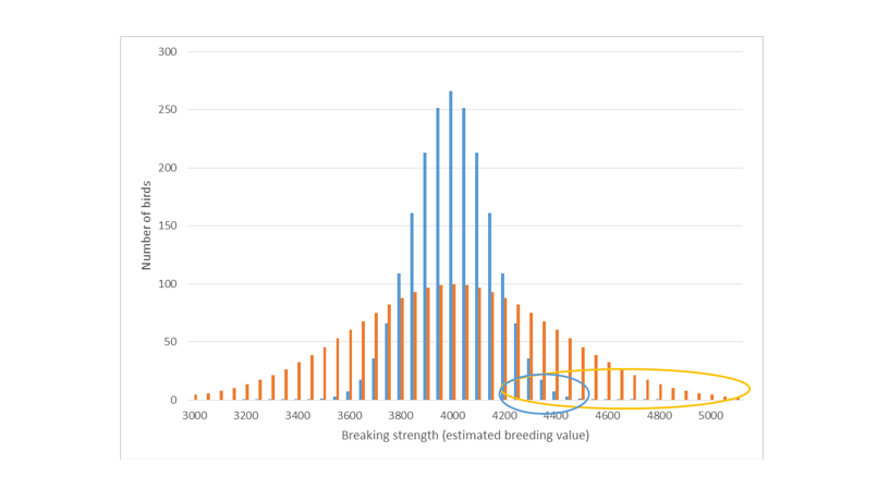 variability graph