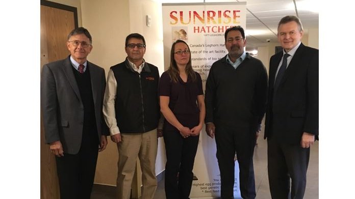 sunrise group