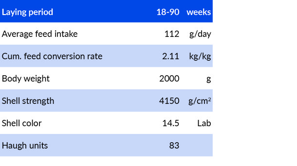 Hisex brown standards c2eng