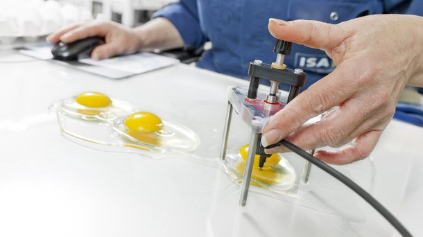 hisex egg quality hu layers