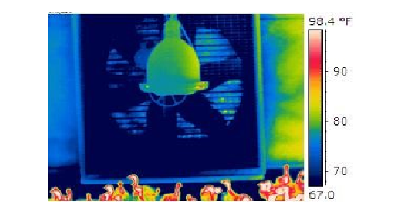 infared fan B
