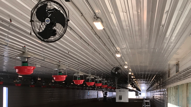 Pembrook interior turkey farm
