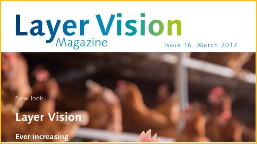 layer vision 16-2017.jpg