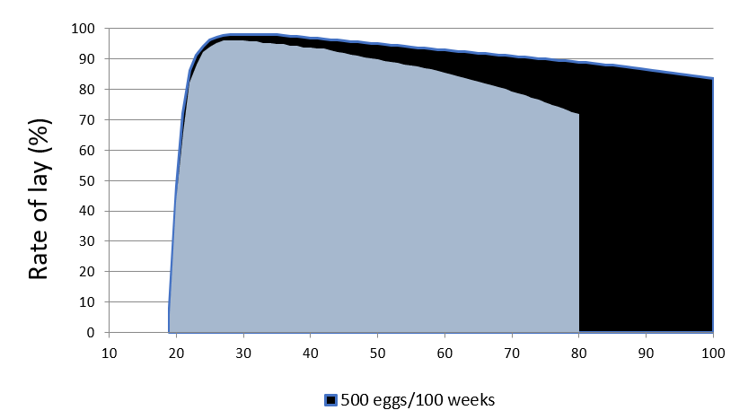 longer production cycle