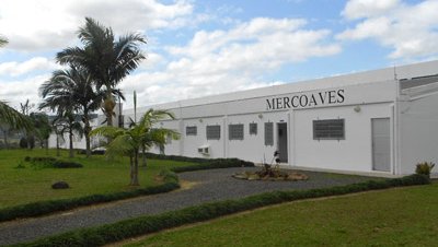 Mercoaves office brazil
