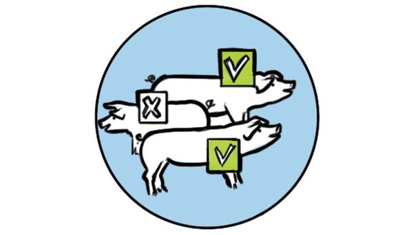 Hypor drawing selection checkmark