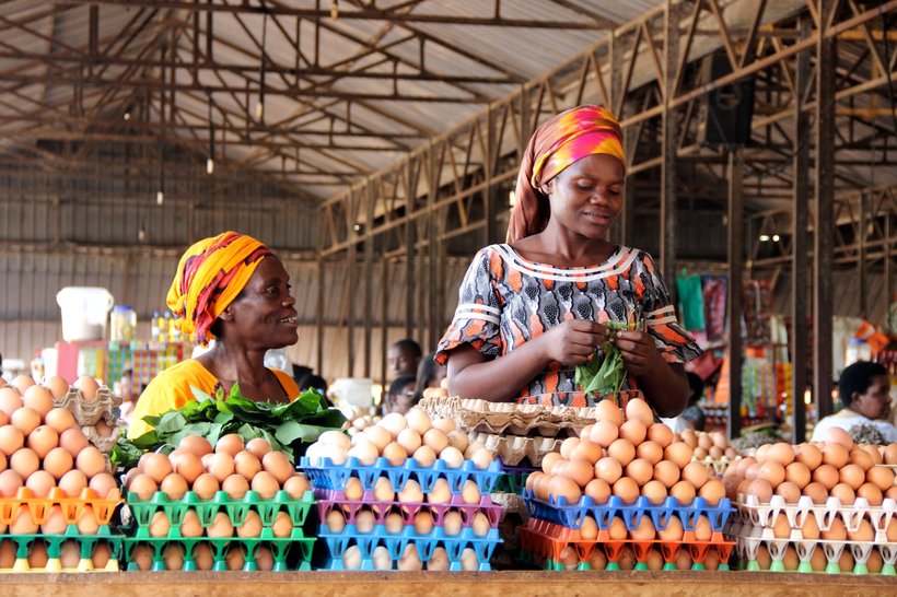 africa market brown eggs people layers