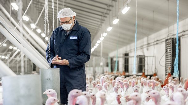turkey breeder farm feed.jpg