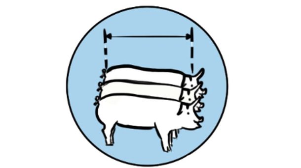 Hypor drawing uniformity